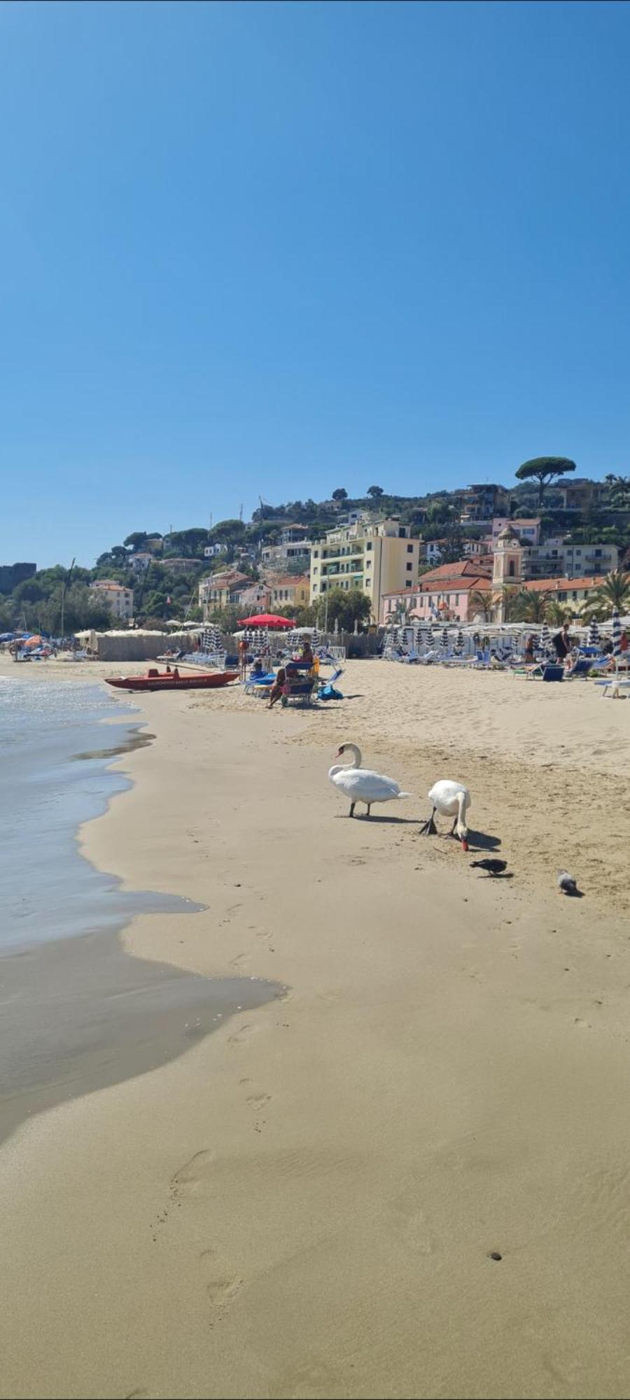 La Maisonnette Di Anna Arma di Taggia Buitenkant foto